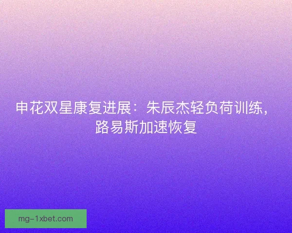 申花双星康复进展：朱辰杰轻负荷训练，路易斯加速恢复